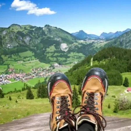 Weber Alpenglueck * Лехбрук