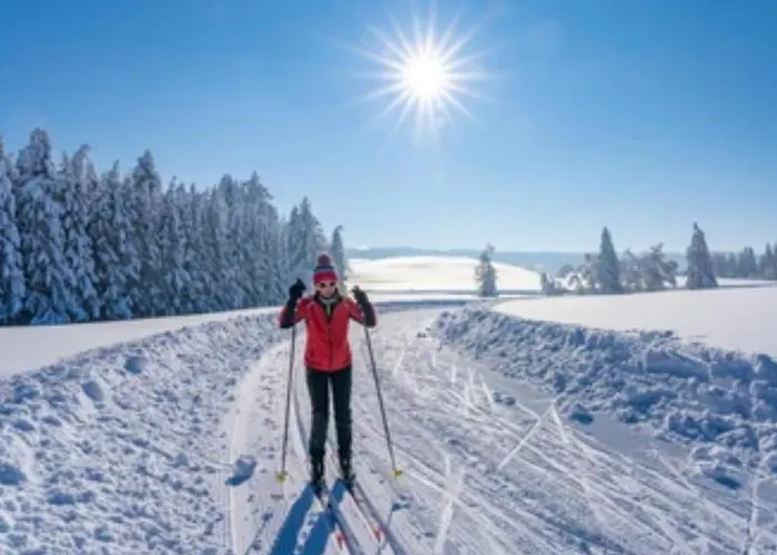 Weber Alpenglueck 렉브룩