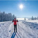 Weber Alpenglueck Lechbruck