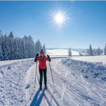 Weber Alpenglueck ليتشبروك